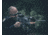 EDEMO, Steiner Close Quarter Red Dot Thermal Sight, 2.5 MOA Dot Reticle, Black, 9510