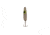 Stinger Scorpion Spoon Lightweight Trolling Spoon, 2.25in .1oz., #5 VMC Hooks, Glow Worm, XGL