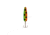 Stinger Scorpion Spoon Lightweight Trolling Spoon, 2.25in .1oz., #5 VMC Hooks, Hot Tiger, X1