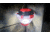 STKR Concepts ILLUMiDOME- Mini Waterproof Lantern, Red, 00245, EDEMO1