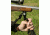 Stoney Point Rapid Pivot Monopod Attachment with Hardware RPM-102