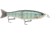 Storm Arashi Glide 19, 7.5in, 3-1/8 oz, 2/0 Hooks, Bluegill, AGB19680