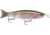 Storm Arashi Glide 19, 7.5in, 3-1/8 oz, 2/0 Hooks, Ghost Rainbow Trout, AGB19693