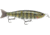 Storm Arashi Glide 19, 7.5in, 3-1/8 oz, 2/0 Hooks, Green Gill, AGB19691