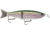 Storm Arashi Glide 19, 7.5in, 3-1/8 oz, 2/0 Hooks, Rainbow Trout, AGB19692