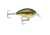 Storm Arashi Silent Square 05 Baby Bass 141706