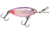 Storm Hot N Tot Madflash Trolling Crankbait, Floating, Tequila Glow, 2in, 3/16oz, HM583