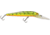 Storm Original Deep ThunderStick 12 Hard Bait, Naturistic Perch, DAJ60