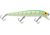 Storm Original Thunderstick Lure 4-3/8in, 1/2oz, Luminous/Green Herringbone, AJ76