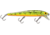 Storm Original Thunderstick Lure 4-3/8in, 1/2oz, Naturist Perch, AJ60
