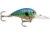 Storm Original Wiggle Wart 05 Hard Bait, Blue Tiger Craw, V173