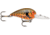 Storm Original Wiggle Wart 05 Hard Bait, Ouachita Craw, V170