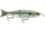 Storm Storm Arashi Glide 7 1/2", 3 1/8oz, #2/0 Hooks, Green Gizzard Shad, AGB19721