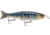 Storm Storm Arashi Glide 7 1/2", 3 1/8oz, #2/0 Hooks, True Gill, AGB19722