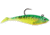 Storm WildEye Swim Shad Swimbaits, 3, 2in, Firetiger, WSS02FT