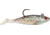 Storm WildEye Swim Shad Swimbait, 3, 5in, Mullet, WSS05MU