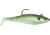 Storm WildEye Swim Shad Swimbait, 3, 3in, OShad, WSS03OLSD