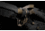 Strike Industries Ultralight Multi-Function FDE End Plate w/ Anti-Rotation Castle Nut in Black, SI-AR-UL-MFEP&amp;ACN-FDE