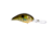 Strike King 3XD Elite Crankbaits, Sunny, 7/16oz, HC3XDE-845