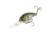 Strike King 5XD Elite Crankbaits, The Real Gill, 5/8oz, HC5XDE-822