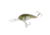 Strike King 5XD Elite Crankbaits, The Real Gill, 5/8oz, HC5XDE-822