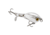 Strike King Bitsy Chickin Hardbait, 2.5in, 1/4oz, Carolina Chrome, 12-36269