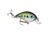 Lew's MACH 2 Spinning Reel, SZ 200, 6.2-1 Ratio, 9+1 Bearings, Clam Pack, MH2-200G3C