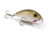 Lew's MACH Crush Spinning Reel, SZ 200, 6.2-1 Ratio, 10+1 Bearings, MCR200A