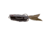 Strike King Bitsy Poppin Swimbait, Green Pumpkin Gill, 1/4oz, BPOP-46A