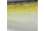 Strike King Evader 70 Topwater Baits, AYU, 7.5cm/2.75in, HCEV70-440