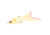 Strike King Hack Attack Pad Perch Fishing Lure, Hollow Body Topwater, Bone, 6in, 1/2oz, HAPP-665, HAPP-665