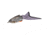 Strike King Hack Attack Pad Perch Fishing Lure, Hollow Body Topwater, Warmouth, 6in, 1/2oz, HAPP-726, HAPP-726