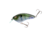 Strike King Hardliner 35 Crankbait, 2.5in, 5/16oz, The Real Gill, 12-36285