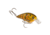 Strike King KVD 1.0 Crankbaits, Green Gourd, 1/4oz, HCKVDS1.0-621