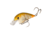 Strike King KVD 4.0 Squarebill Crankbait, Bone Craw, 7/8oz, HCKVDS4.0-351