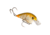 Strike King KVD 4.0 Squarebill Crankbait, Bone Craw, 7/8oz, HCKVDS4.0-351