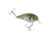 Strike King KVD Elite 1.5 Crankbaits, The Real Gill, 3/8oz, HCKVD1.5E-822
