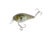 Strike King KVD Elite 1.5 Crankbaits, The Real Gill, 3/8oz, HCKVD1.5E-822