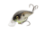 Strike King KVD Elite 8.0 Crankbaits, Mirage Gizzard Shad, 1 1/2oz, HCKVD8.0E-427