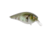 Strike King KVD Elite 8.0 Crankbaits, The Real Gill, 1 1/2oz, HCKVD8.0E-822