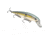 Strike King Kvd Jerkbait 3 Hook, Gold Sexy Shad, 1/2 oz; 4.75in, HCKVDJ300-620
