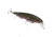 Strike King Kvd Jerkbait 3 Hook, Phantom Watermelon Red Craw, HCKVDJ300-468