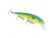 Strike King KVD Jerkbait 300 Fishing Lure, Medium Diving Jerkbait, Pro Citrus Shad, 1/2oz, HCKVDJ300-298, HCKVDJ300-298