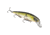 Strike King KVD Jerkbait 300 Fishing Lure, Medium Diving Jerkbait, Silver Tennessee Shad, 1/2oz, HCKVDJ300-685, HCKVDJ300-685