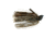 Lew's KVD Series Casting Rod, 7ft 6in, 1-PC, Extra-Heavy, Extra-Fast, LKVDGC9