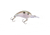 Lew's KVD Series Spinning Rod, 7ft 6in, 1-PC, Medium-Light, Extra-Fast, LKVDGS7