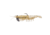 Strike King Pre-Rigged Tidal Shrimp 1/4oz, Gold Rush, 2.75in, PRSSW275-519