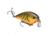 Strike King KVD Swim'n Caffeine Shad Fishing Lure, Soft Plastic Swimbait Fishing Lure, Baby Bass, 5in, 7-Pack, ??SCSD5-55, SCSD5-55