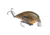 Strike King KVD 1.5 Shallow Fishing Lure, Shallow Running Squarebill Crankbait, Orange Bream, 3/8oz, HCKVDS1.5SH-697, HCKVDS1.5SH-697