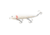 Strike King Saltwater Mega Dawg Topwater Baits, Bone, 2oz, HCMDSW-665